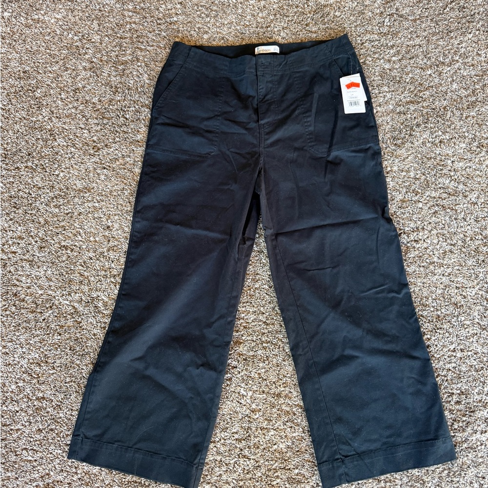 89th & Madison Black Ankle Pants